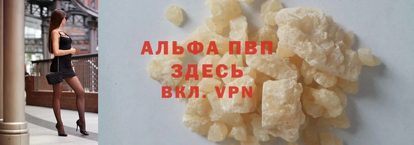 СК Волгодонск
