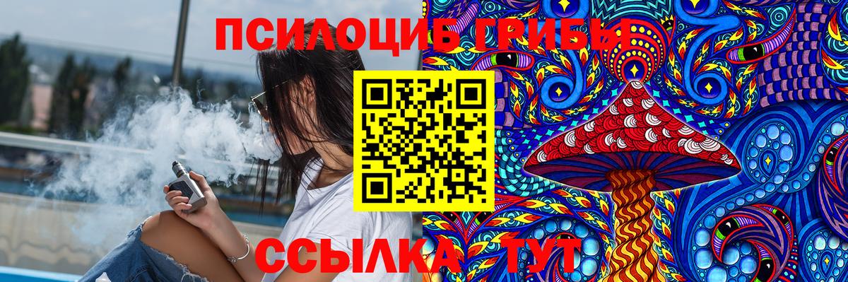 Галлюциногенные грибы прущие грибы  Вход с VPN  Галлюциногенные грибы мицелий  Гуково 